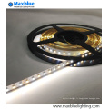 Dual White CCT réglable SMD2835 LED Strip Light